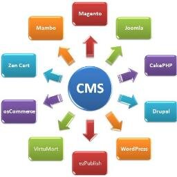 content management, CMS, Drupal, Joomla, web developers, web development, open source, MODX, opencms,