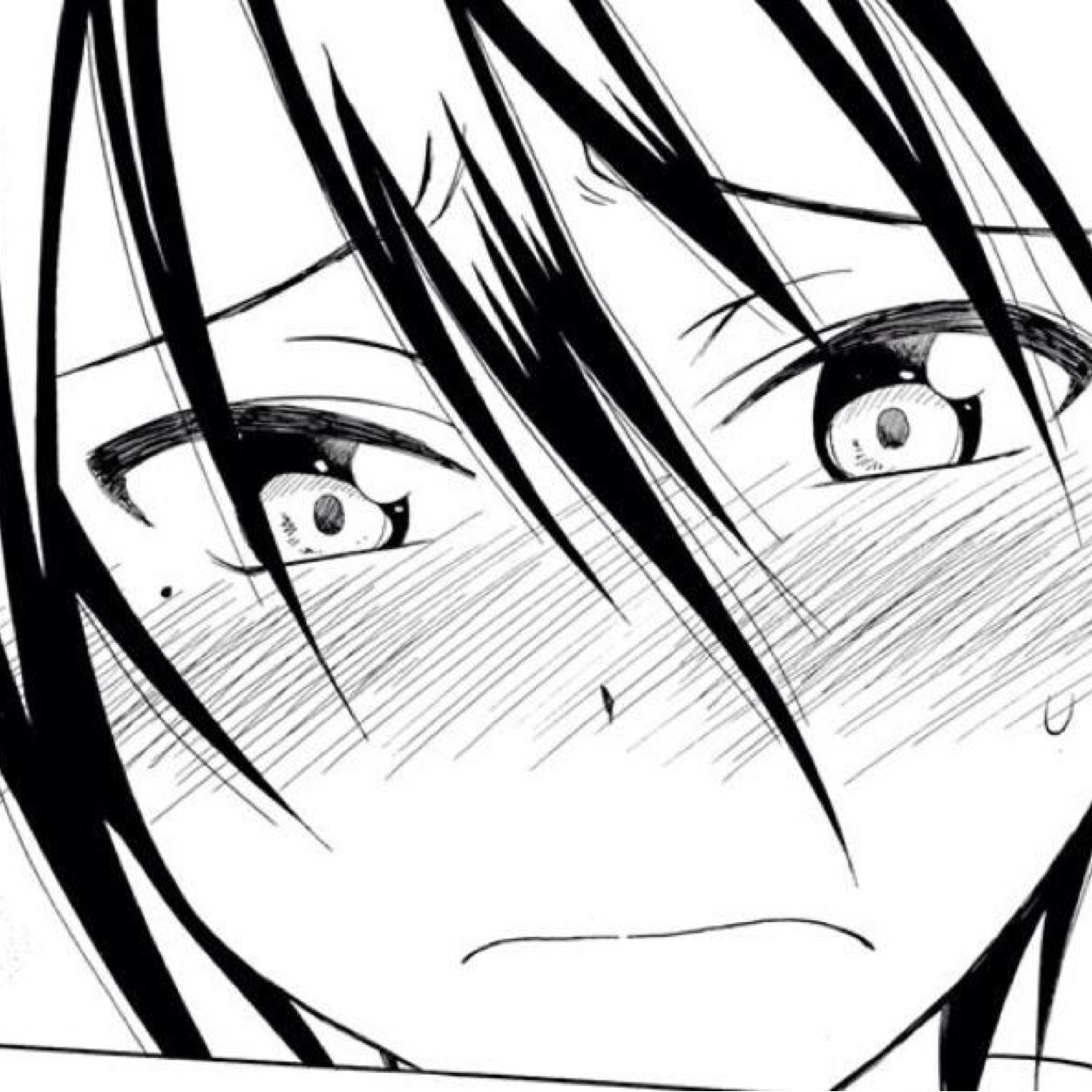 kawano  kaitoさんのプロフィール画像
