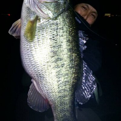 村上晴彦 (@haruhiko_m) / Posts / X