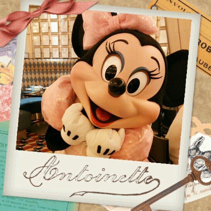 ﾄﾞﾅﾐﾆ推し♡ Disney/ﾜﾝﾏﾝ/ﾐｼｶ/ｷｬﾗﾀﾞｲ/整列ｸﾞﾘ/ﾐﾆﾄﾞﾅ追い/元年ﾊﾟ4年生 1day/休日組 たまに平日ｲﾝ/ﾐｰﾄ ｲﾝ友大募集♡