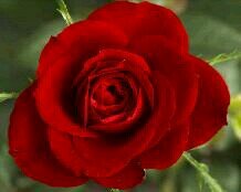 Be HappY