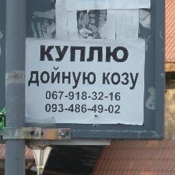 wereshol's profile picture. 