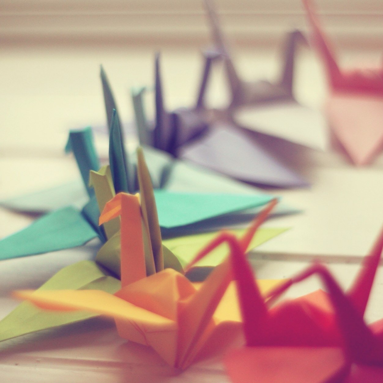 I am a guy with a passion for origami, i have opened my own channel and i will spread my passion