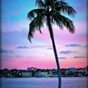 Dawn Ashby - @SdmkDawn - Twitter