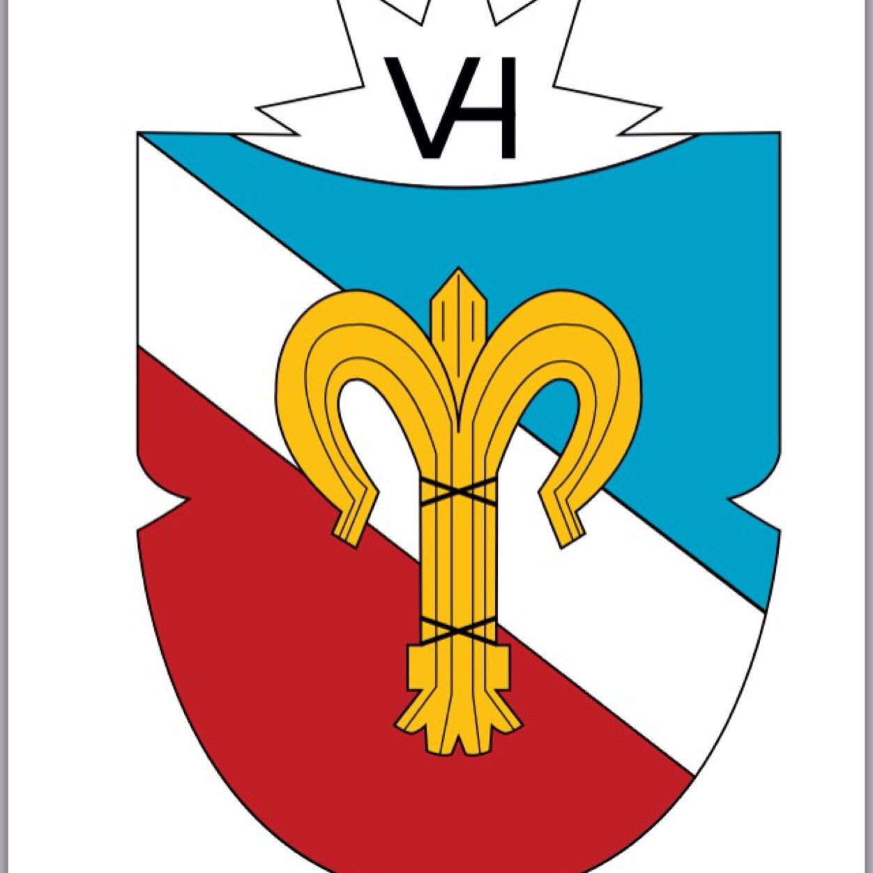 vasaloppshajken's profile picture. Dalarnas scoutdistrikts årliga hajk i anslutning till vasaloppsspåret sedan 1973. 15km fr målet i Mora. Crowdfundar Nattvasans fetaste ljusspår. Ibland på TV.