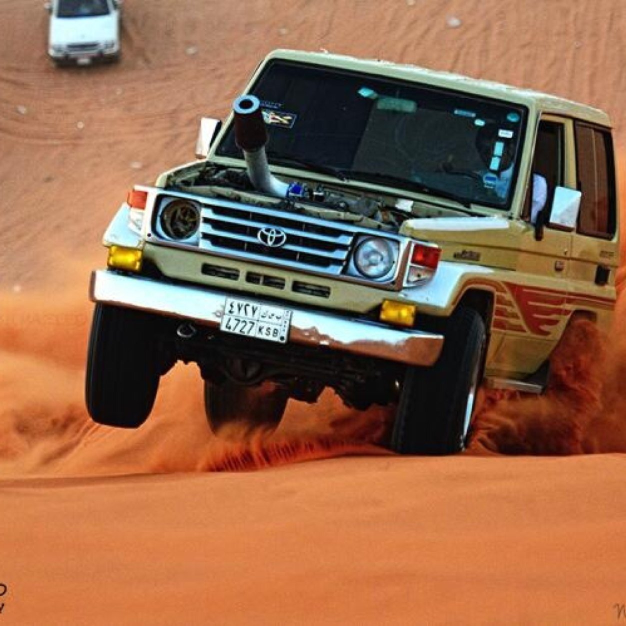 هنا اضع صور تطعيس