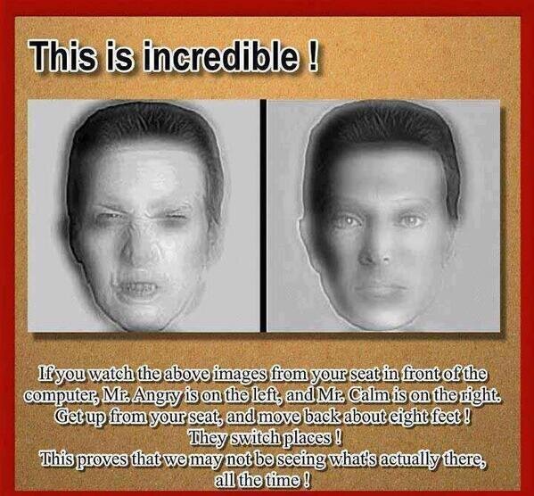 itslulim's profile picture. 