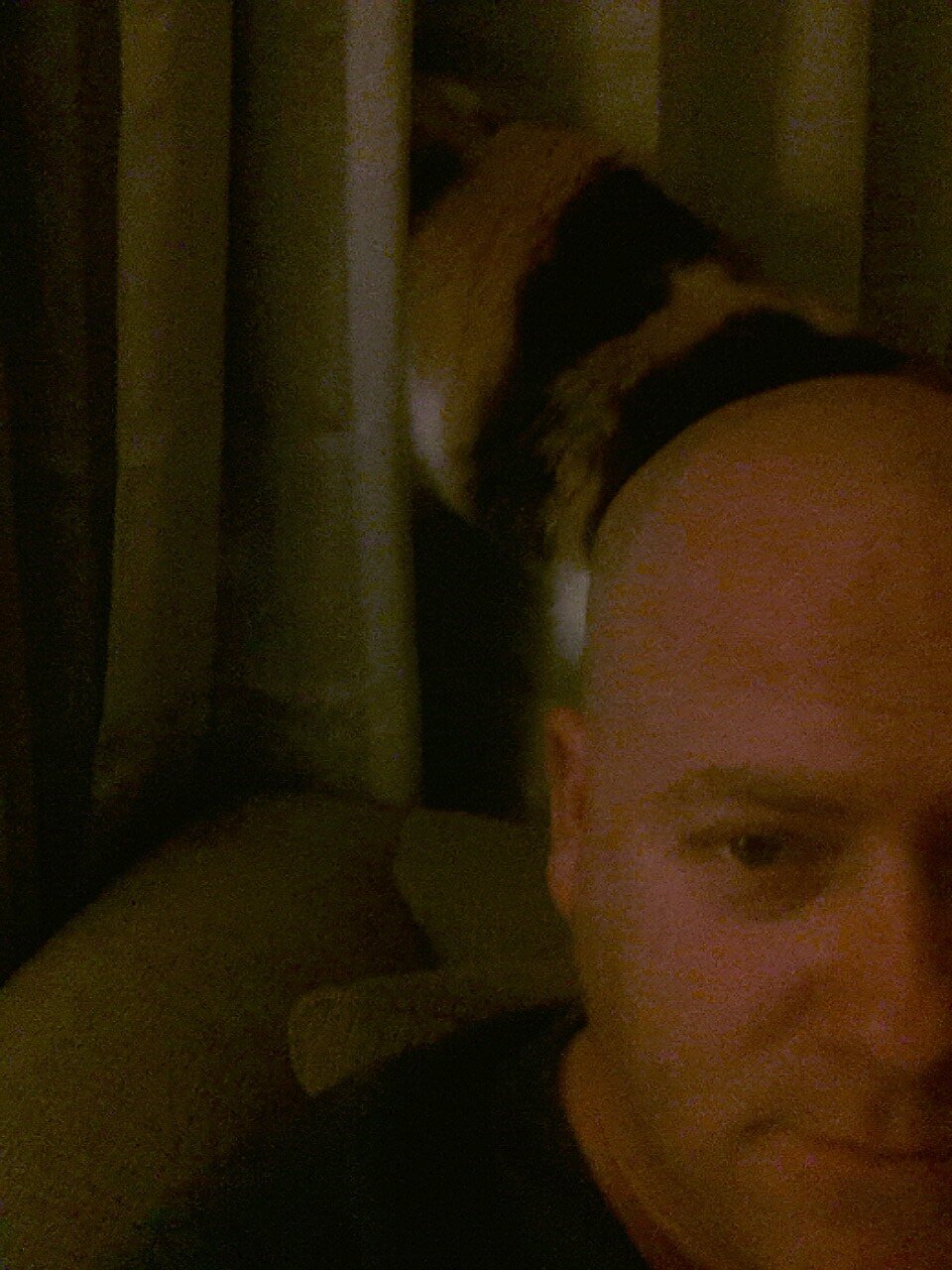 Ashmad0415's profile picture. Single dad who gets paid to play with explosives!