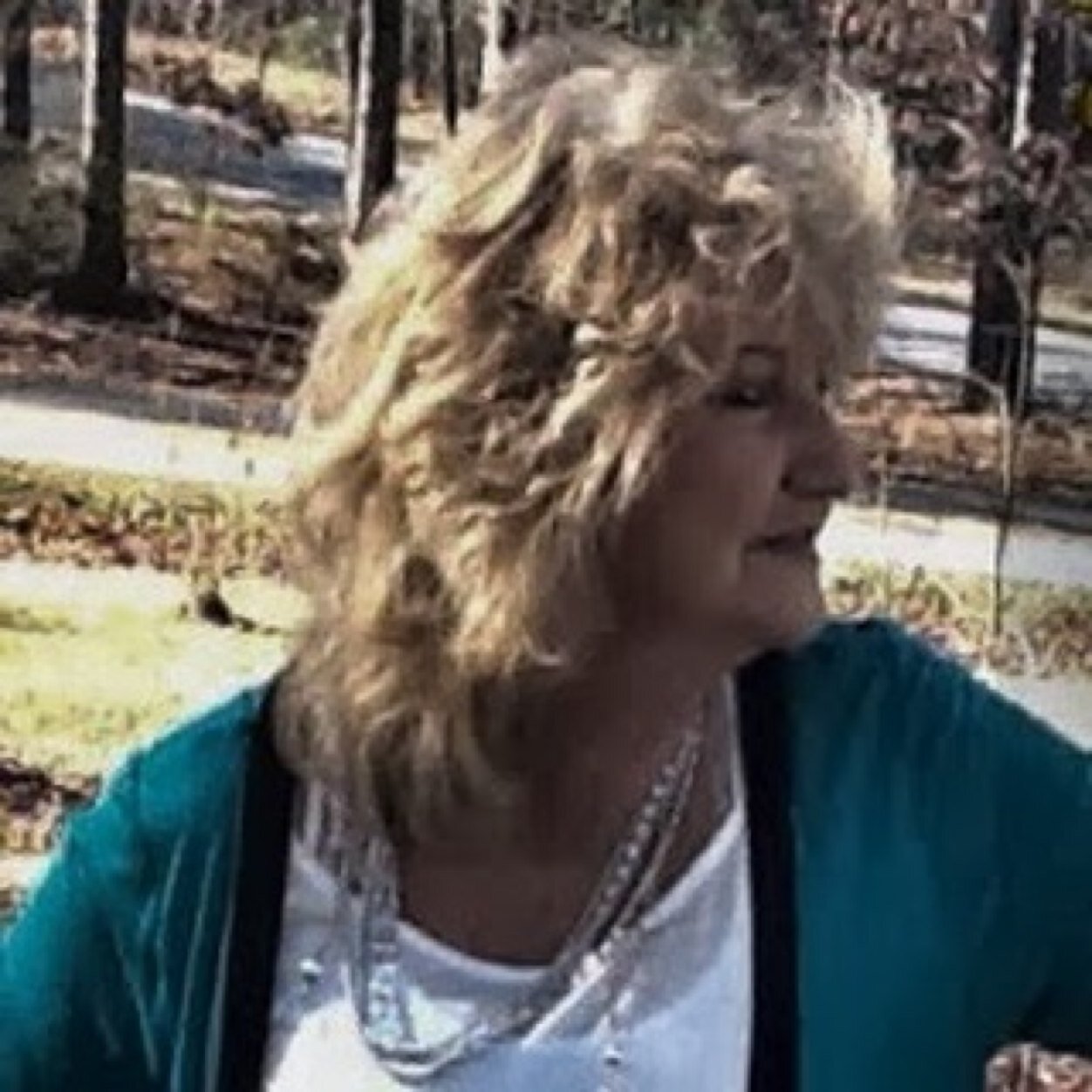 dislilhummers's profile picture. 