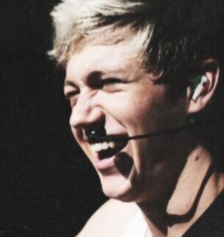 _NiallGirlProbs's profile picture. being a niall girl is hard work