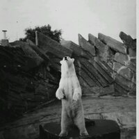 robert lemcke (@r_heinmueck) Twitter profile photo