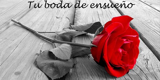 Tubodadeensueno's profile picture. Organización de bodas y eventos