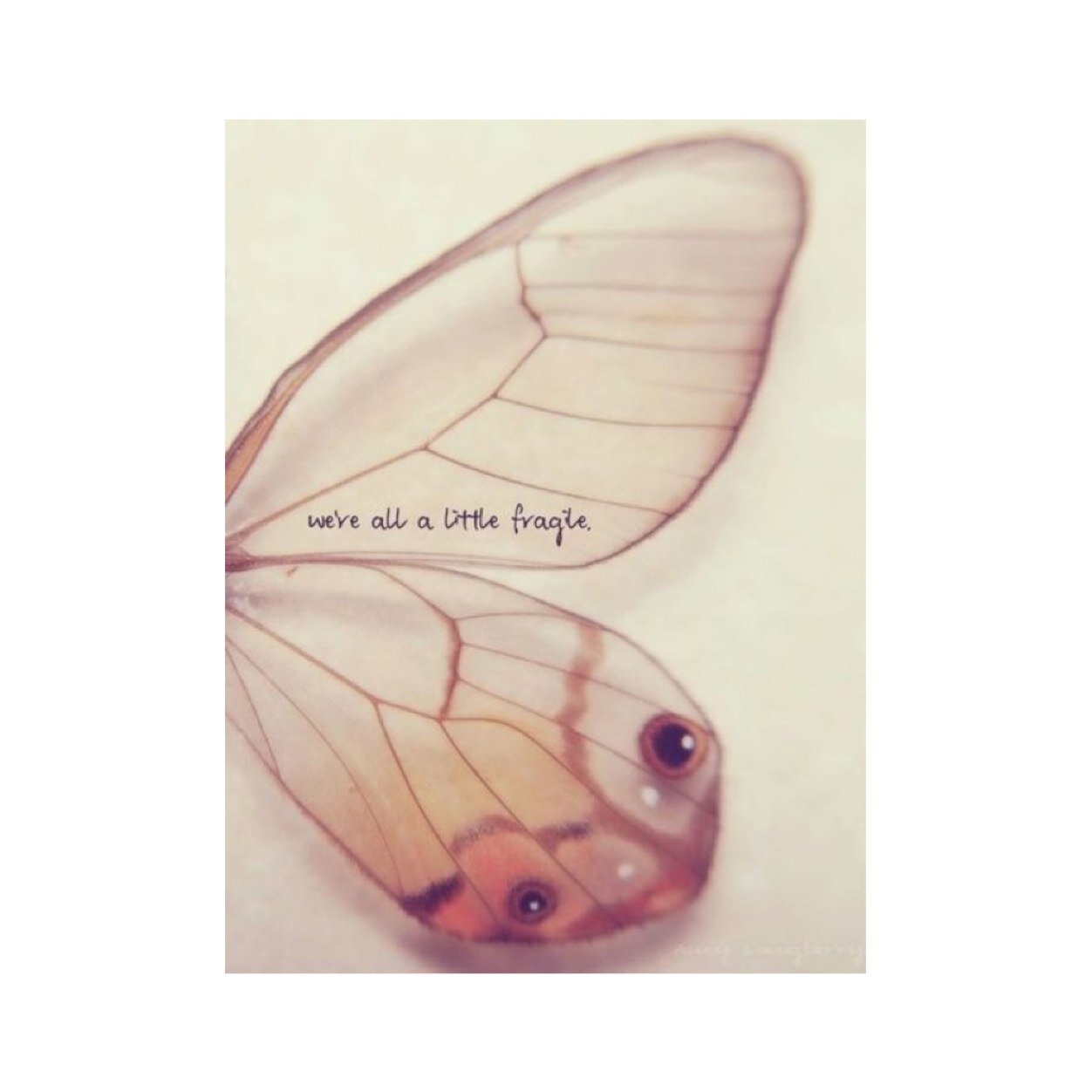 a negative mind will never give you a positive life