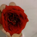 فيء بدر (@010fay) Twitter