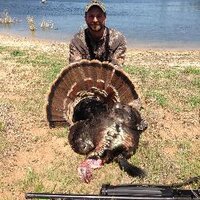 TurkeyHunterPodcast (@turkeyhitman) 's Twitter Profile