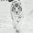 Jordan Eden - @Jordan_Eden - Twitter