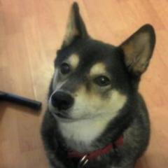 forprofit1962's profile picture. 