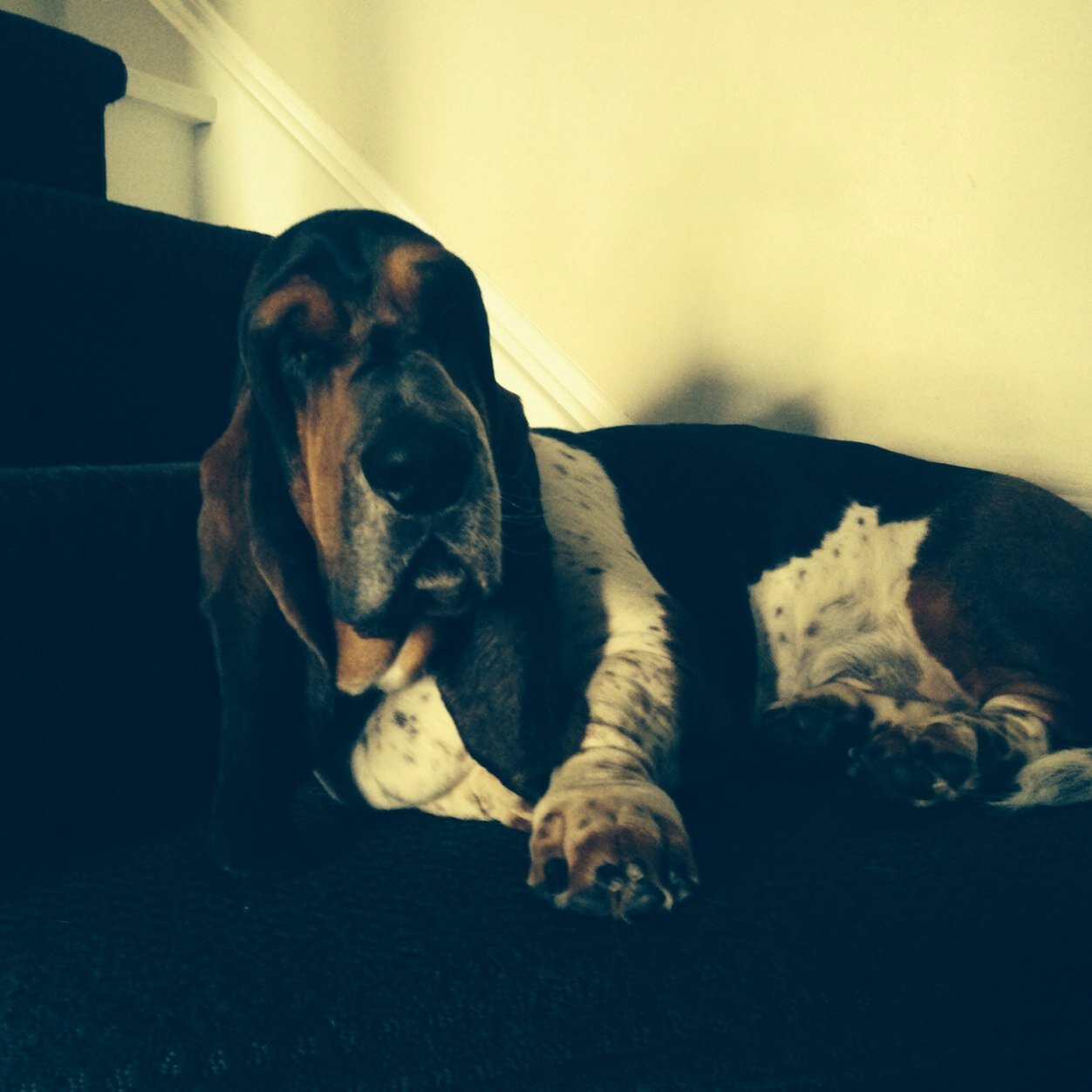 NeilBolton22's profile picture. Husband, Father, Coach, Positive Leader, Field Service Innovator and practices the art of Golf Meditation