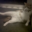 jane bowerman - @jane_bowerman - Twitter