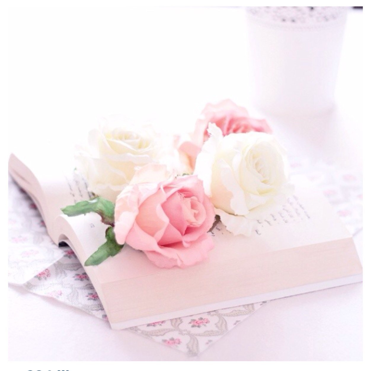 Omar2014Slam's profile picture. كم أتمنى لو أننى مثلك أيهاا الطير كلماا ضاقت بى الدنيا 

 تركت الأرض وحلقت بعيداا فى أفق السمااء