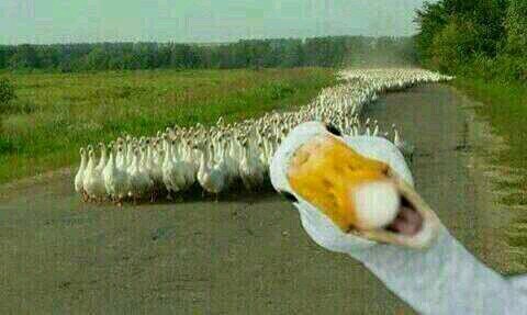 hey, I am tweeting really awkward stuff what makes you smile ♡