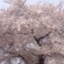 (^ω^) (@054575985) Twitter