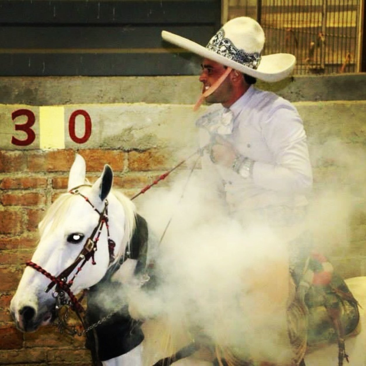 cgdomeli's profile picture. 