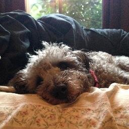 MsMoopy's profile picture. Kind of a big deal.