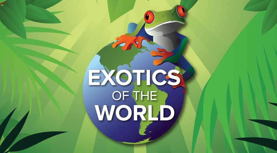 Exotics Of The World Animal Encounters & Rescue is a Animal Education company teaching people about Animals,Environments,Eco Systems,fitting into the curriculum