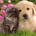 marie mcsweeney - @mmc433 - Twitter