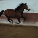 Normand Morin - @MorinNormand - Twitter