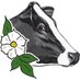 BC Holsteins (@bcholsteins) Twitter profile photo