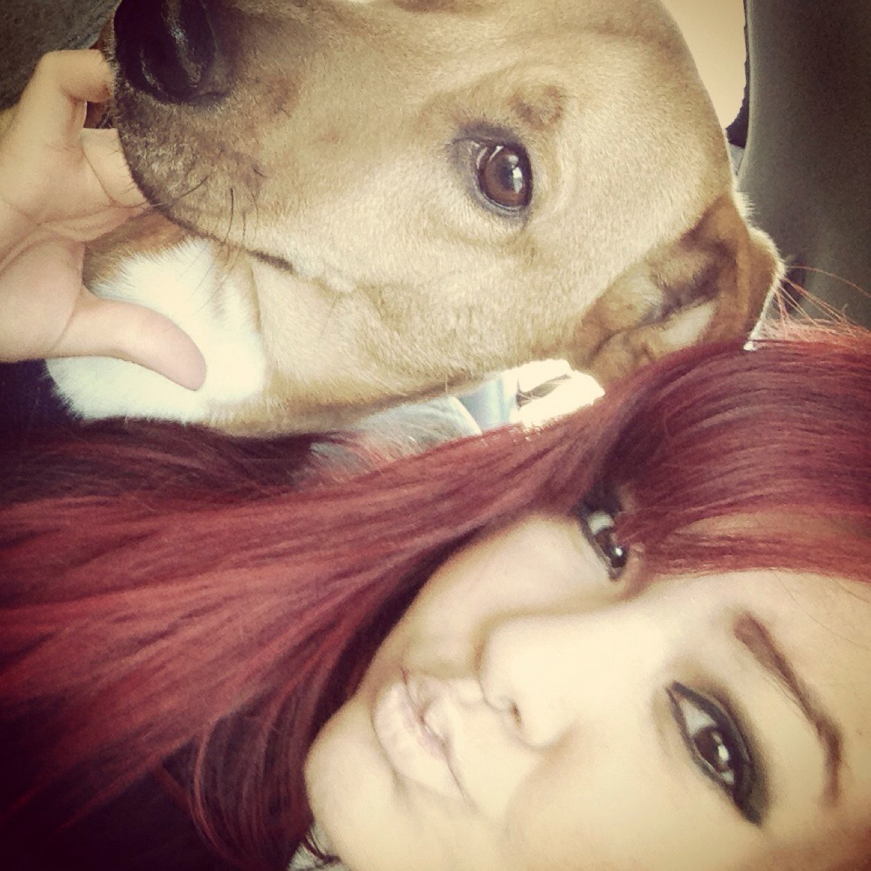 Aahlexxi's profile picture. live right, love others & always be yourself