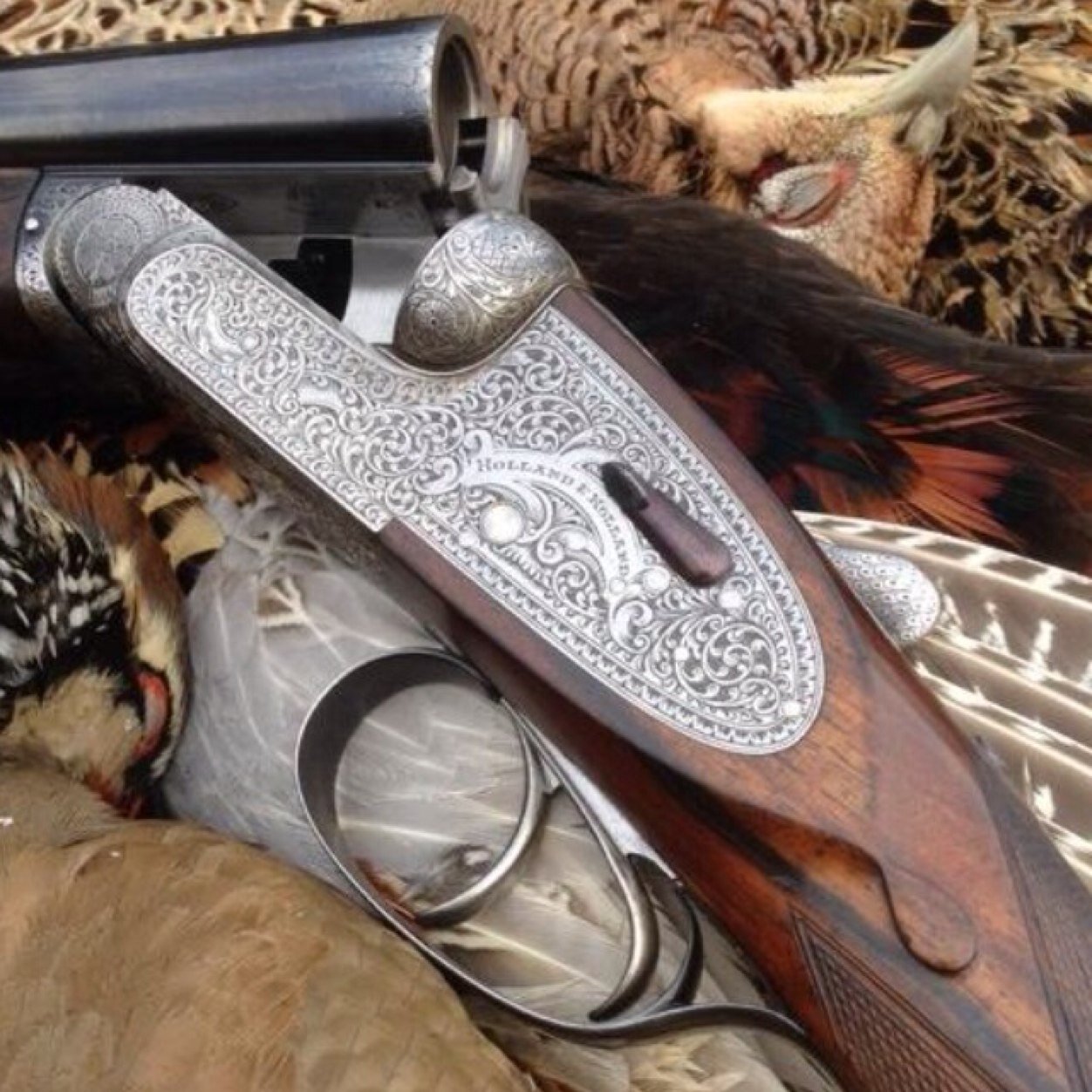 Shooting - Fishing - Dogs - Rugby - Golf - Music. Mad about Curlew Lapwing / Wader Conservation. Love nice watches. Strongly unionist 🏴󠁧󠁢󠁳󠁣󠁴󠁿🇬🇧