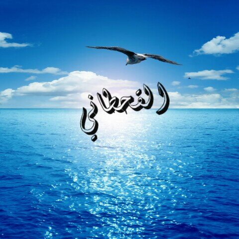 alghtani221's profile picture. ‏قال الله سبحانه وتعالى (اﻻبذكر الله تطمئن القلوب).