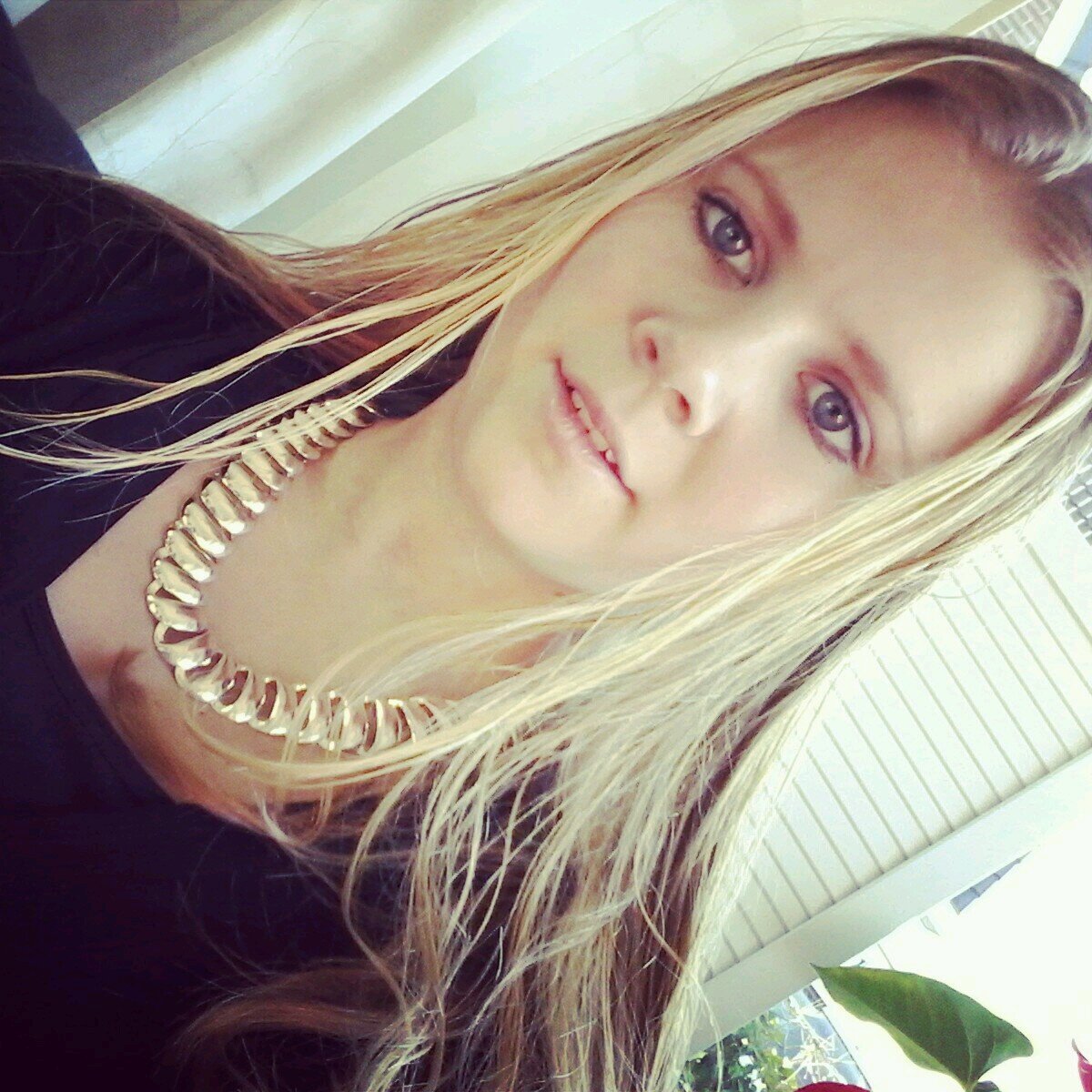 Create your own dream