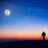 FullMoonAdv's profile image