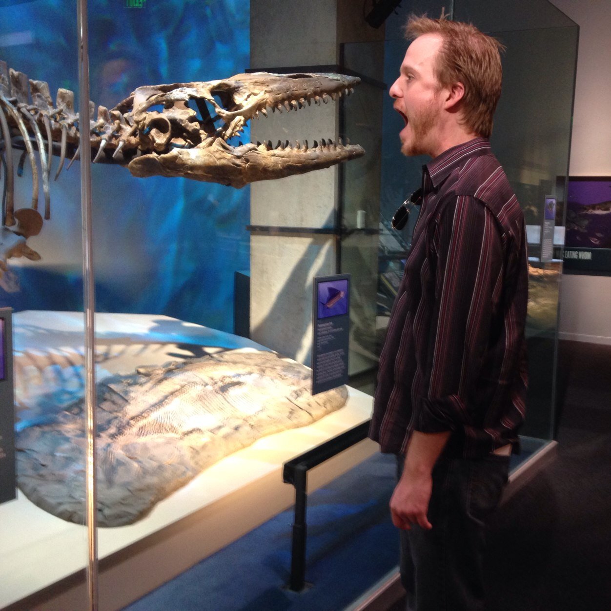 jomojoneal's profile picture. 