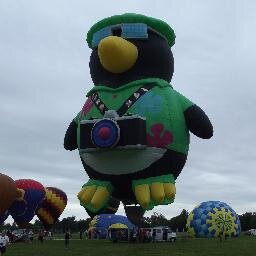 MelSpeicherSDN's profile picture. 