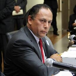 Diputado de la LVIII Legislatura del Estado de México por parte del Partido de la Revolución Democrática. (PRD)