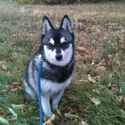 DarRiv4's profile picture. 