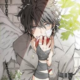 Just your average winged half-alien. With just an average life. Nicknamed Crow and owner of the Nth metal bracelet.