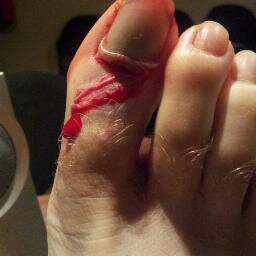 SelectTech1090's profile picture. Regular person who has a story to tell...