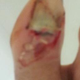 MyBowflexStory's profile picture. 