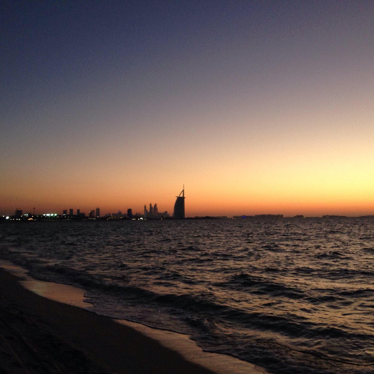 riegery's profile picture. 