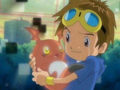 Aqui tenemos un canon  Digimon adventure, Digimon seasons