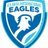 AISchoolEagles's profile image