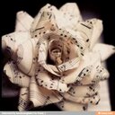 Katie Corley - @KatieCorley - Twitter