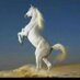abdulaziz (@wildlive73) Twitter profile photo