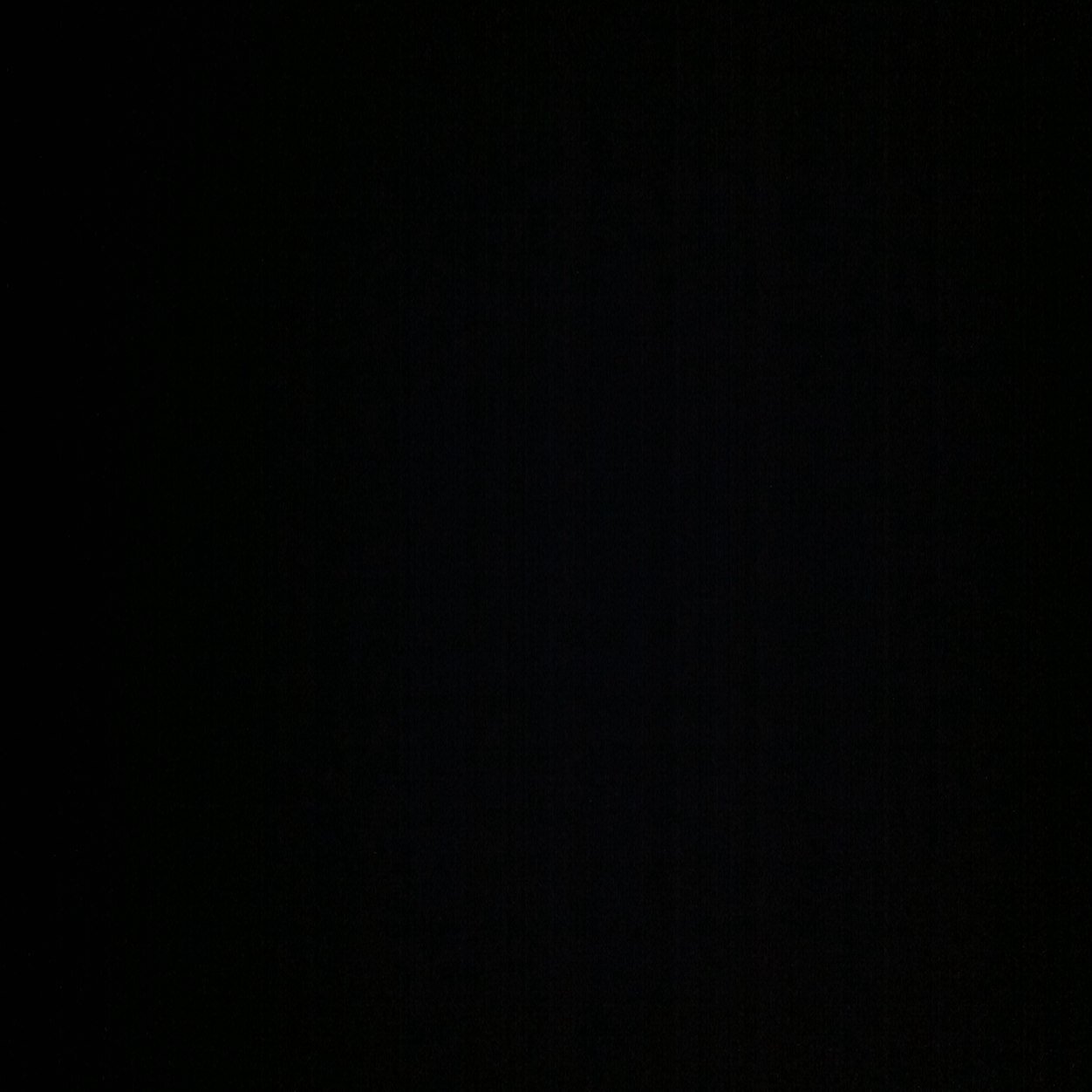 celestemacarez's profile picture. 